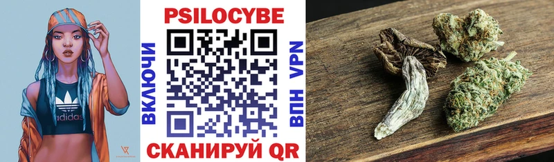 Купить где  Опочка  Галлюциногенные грибы Psilocybine cubensis 